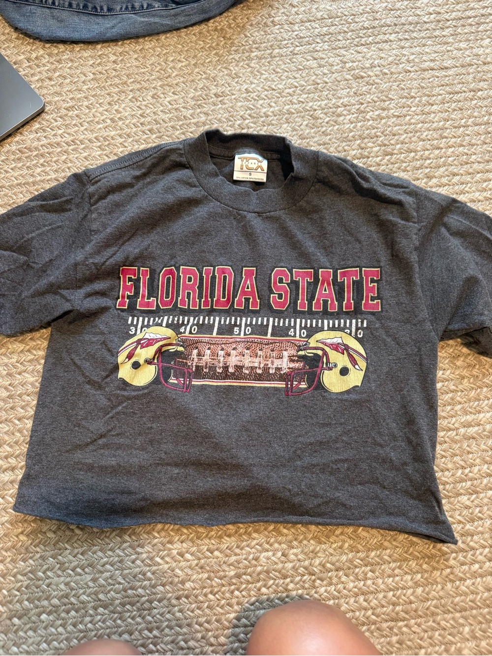 Florida State Cropped Graphic Tee in Charcoal with Garnet
